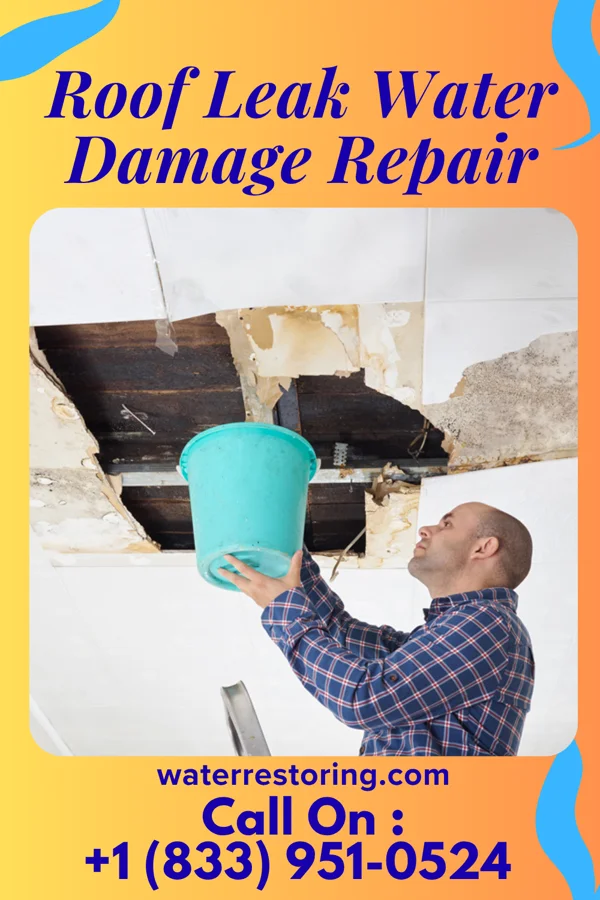 Roof Leak Water Damage Repair in Huntersville, NC