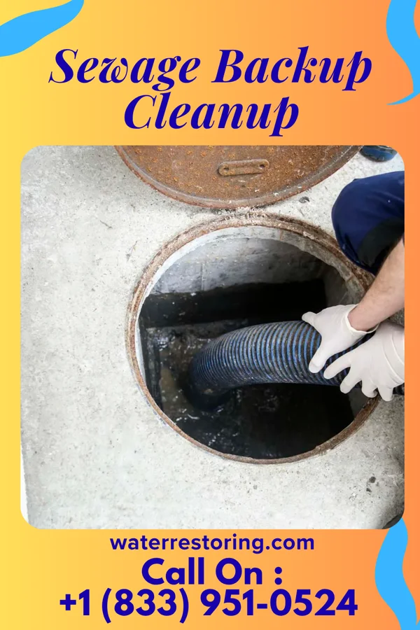 Sewage Backup Cleanup in Huntersville, NC